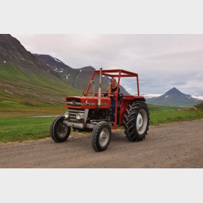 Veteran kalender 2017